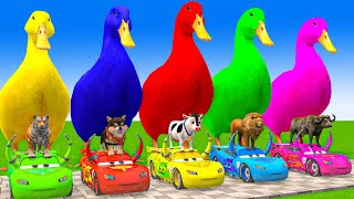 5 Giant Duck CartoonCowElephantGiraffeTigerLion Paint Wild Animals Crossing Fountain Animation [upl. by Aremus]