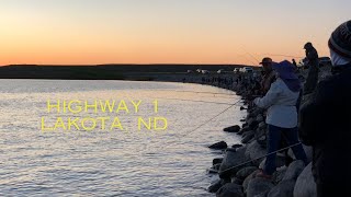 Devils Lake Hot Sunset Whitebass Bite Nonstop Action [upl. by Ettennat]