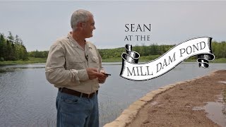 Sean at the Mill Dam Pond  Erosion Control [upl. by Bergmans]