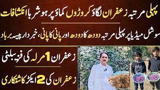 New Hidden Secrets High Profit Small Business Idea in Pakistan  Saffron Farming In Pakistan [upl. by Hurst]