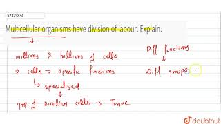 Multicellular organisms have division of labour Explain  11  CELL  THE UNIT OF LIFE  BIO [upl. by Kaenel]