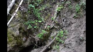 Cave Creek Cave part 4 6k [upl. by Trudey]