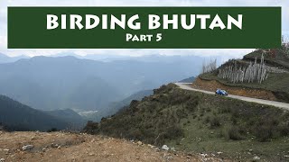 Bhutan Birding Tour 2024 PART 5 Punakha Paro Chele la Ibisbill Ruddybreasted Crake [upl. by Loni]