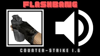 Flashbang Sound Effects CounterStrike 16 [upl. by Eerhs]