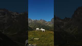 SilvrettaBielerhöhe im Montafon  Vorarlberg [upl. by Yeta]