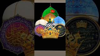 Hazrat Khwaja Garib Nawaz Rahmatullah Ali aur aana Sagar ka bayan shortsviral youtubeshorts [upl. by Neerroc]