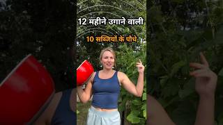 10 Vegetables That Can Be Grown In 12 Months [upl. by Maurreen]