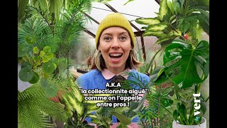 Vous êtes accro aux plantes exotiques  Cette vidéo deTaMereNature est faite pour vous [upl. by Gnouhc795]