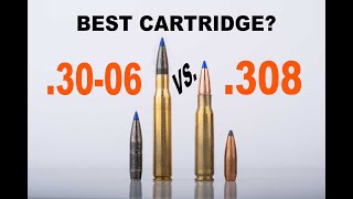 Best Cartridge 308 vs 3006 [upl. by Alodi]