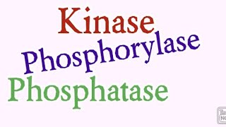 Kinase  Phosphorylase  Phosphatase  Biochemistry [upl. by Valina303]