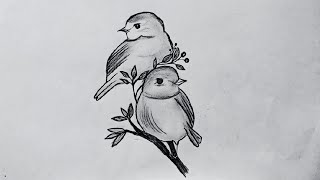 Drawing of Two cute birds sitting on a branch of a tree  Drawing Tutorial Step By Step [upl. by Juli612]