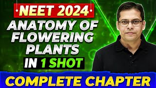 ANATOMY OF FLOWERING PLANTS in One Shot  Complete Chapter of Botany  NEET 2024 [upl. by Cheatham]