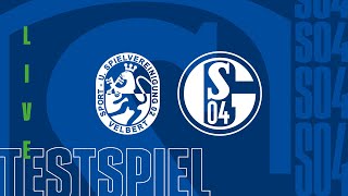 TESTSPIEL RELIVE  SSVg Velbert vs FC Schalke 04 [upl. by Nerha]