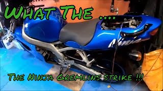 Kawasaki ZX9R Starting issue followed by a nice ride out [upl. by Aihsetal]