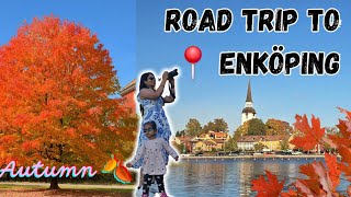 Road trip to outskirts of Sweden with autumn 🍂 colors roadtrip sweden odiavlogs longdrive [upl. by Ainad403]