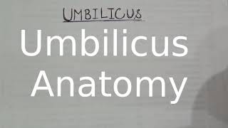 Umbilicus anatomy made easy [upl. by Annadal]