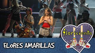 Floricienta Flores Amarillas en vivo en el teatro 2005 [upl. by Yendor869]