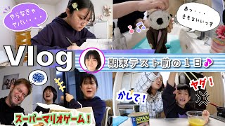 ★Vlog★かんなさん期末テスト前の休日ルーティーン [upl. by Adnuhsor]