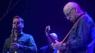 Mark Knopfler  Going home theme from quotLocal heroquot live in Cologne [upl. by Stutzman438]