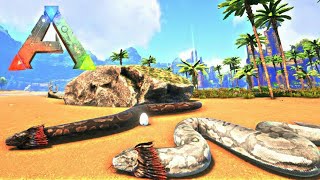 Ark Survival Evolved Casal de Titanoboa Perseguição Aérea Busca por Abrigo [upl. by Aneelehs]