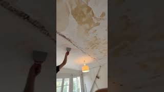 renovation plafond peinture villennes sur seine [upl. by Eiramac]