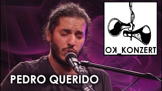 OKKonzert  Pedro Querido [upl. by Sherrard]