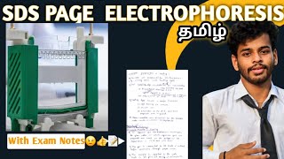 SDS PAGEtamilpolyacrylamide gel electrophoresisNotesDefinitionprincipleProcedureworkinguses [upl. by Wilkinson824]