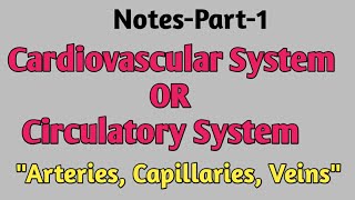 Notes cardiovascular SystemquotArteriesVeins CapillariesquotPart1 [upl. by Cahan]