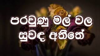 Parawunu Mal Wala karaoke without voice  පරවුණු මල් වල සුවඳ අතීතේ [upl. by Auahsoj26]