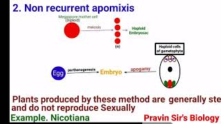 Apomixis  Recurrent apomixis  Non recurrent apomixis  Adventive embryony  Pravin Sirs Biology [upl. by Cordeelia]