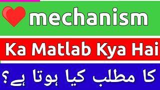 Mechanism Meaning In Urdu  Mechanism Meaning  Mechanism Ka Matlab Kya Hai  Mechanism Ka Meaning [upl. by Sheline]