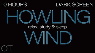 HOWLING WIND Sounds for Sleeping Relaxing Studying BLACK SCREEN Real Storm Sounds 10 HOURS [upl. by Ocirrej]