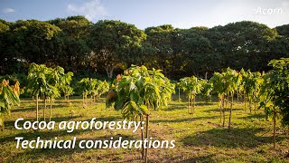 Cocoa Agroforestry Technical Considerations  Acorn Agroforestry Academy Webinar [upl. by Brennan]