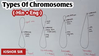 Types of chromosomes based on position of centromere  Kishor Zagare sir [upl. by Eadith]