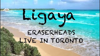 Eraserheads  Ligaya LIVE IN TORONTO 2024 [upl. by Virginie147]