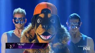 Masked singer Rottweiler preform alive by sia [upl. by Tiphany686]