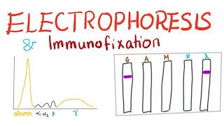 Electrophoresis Immunoelectrophoresis and Immunofixation [upl. by Azarria]