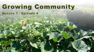 Urban Farm S1 Ep4 [upl. by Faust]