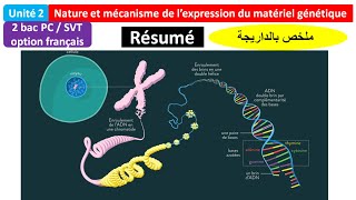 Résumé unité  nature et mécanisme de lexpression de linformation génétique 2BAC PC  SVT [upl. by Swinton474]