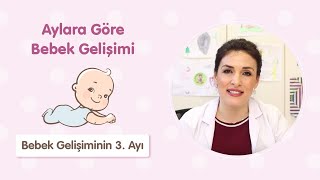 Bebek Gelişiminin 3 Ayı  Dr Aylin Şimşek [upl. by Buchanan]