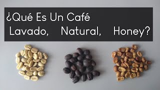 ¿Qué es Café Lavado Natural y Honey [upl. by Jamey]