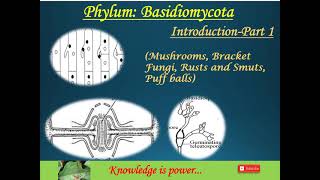 Phylum Basidiomycota Part1 Introduction [upl. by Fish]