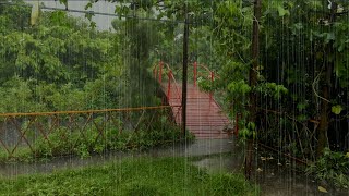 Fall Asleep Easily With Heavy Rainstorm Thunder amp Howling Wind Sounds On My Garden  White Noise 8h [upl. by Panchito492]