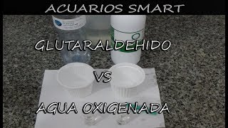 GLUTARALDEHIDO VS AGUA OXIGENADA [upl. by Yrakaz474]