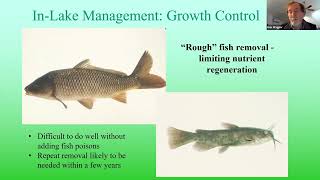 Methods of Algae Control Part 4  InLake Management Internal phosphorus control [upl. by Itirp]