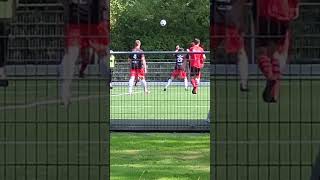 Dutch soccer players are training Fans are watching Football Relaxation [upl. by Baniaz754]