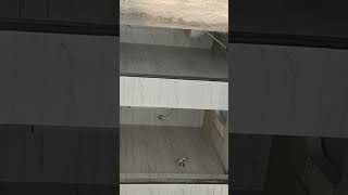 floor tiles design for living room and bathroom wall 🧱😞tileswale tilesofindia shortvideo [upl. by Trebloc]