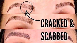 MICROBLADING HEALING PROCESS  THE FIRST 2 WEEKS [upl. by Ztnarf805]