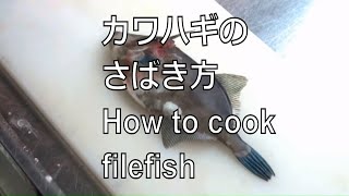 カワハギのさばき方 How to cook filefish Japanese food [upl. by Einniw]