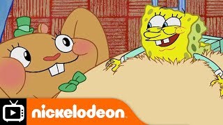 SpongeBob SquarePants  Experiments  Nickelodeon UK [upl. by Naeloj]